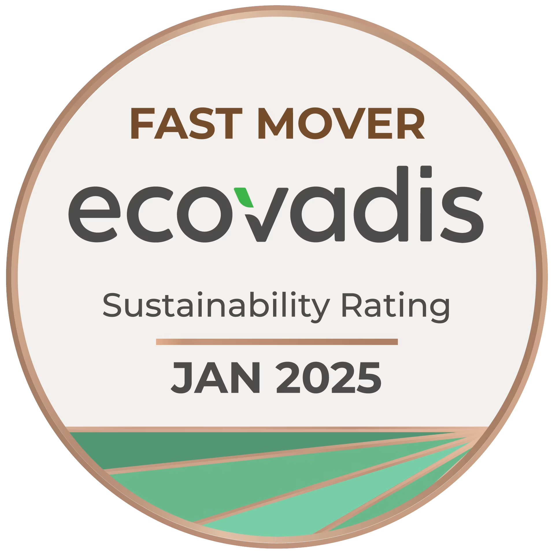 ecovadis奖章