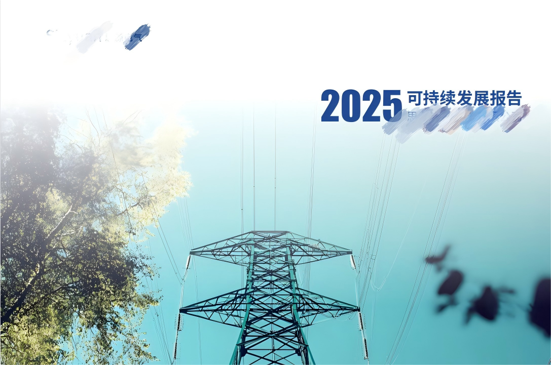 2025年思源电气(1)(1) 2025年思源电气(1)(1)