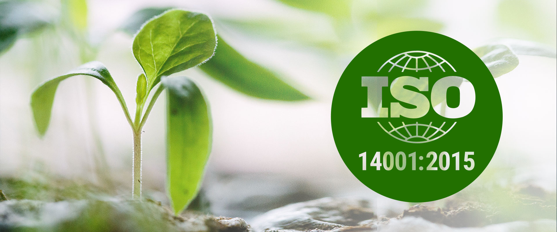 ISO-14001-2015-slider ISO-14001-2015-slider