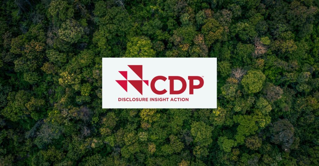 CDP-1024x533 CDP-1024x533