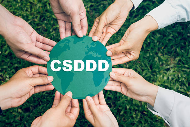 csddd3 csddd3